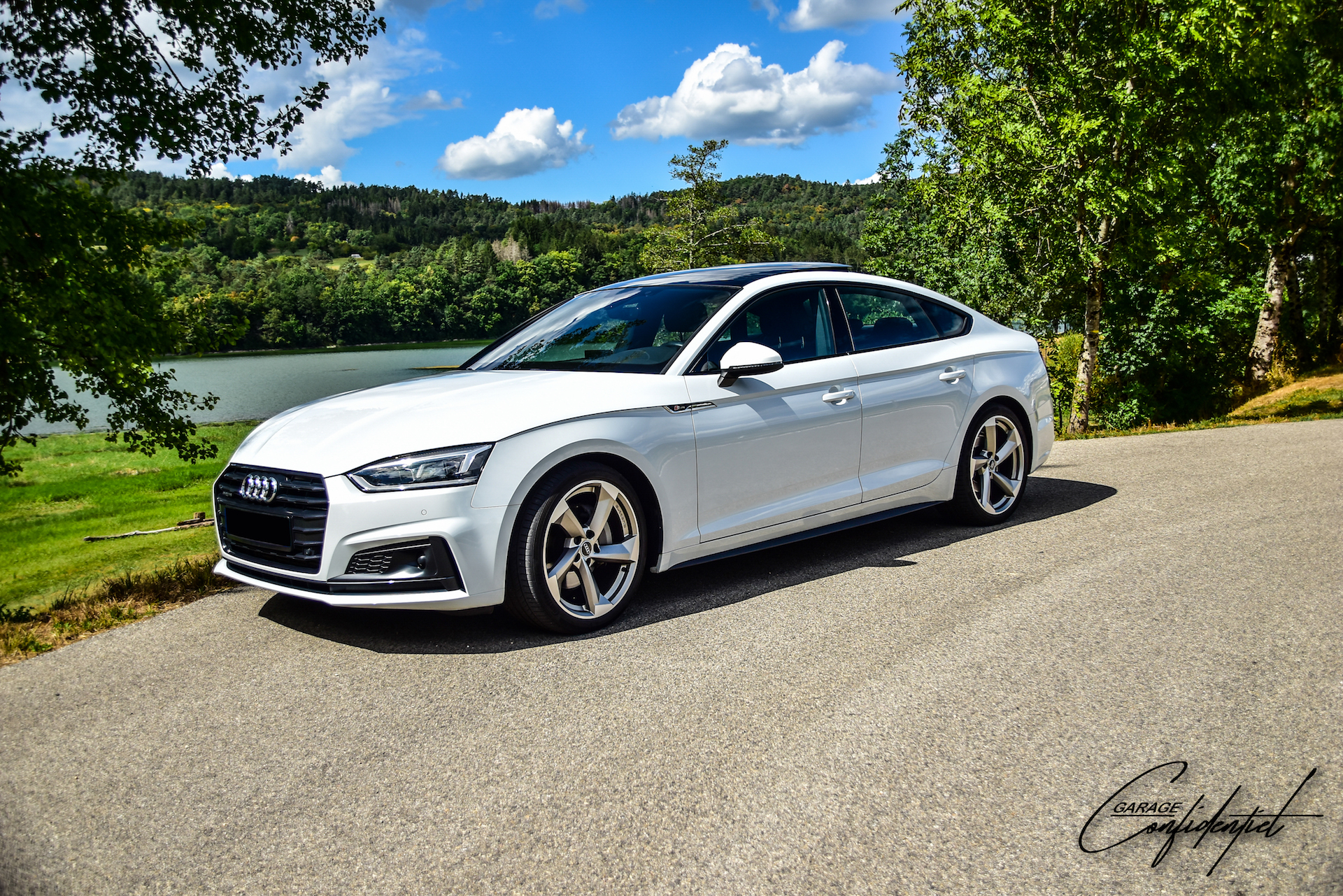 audi_a5_quattro_s_line_ii_sportback_v6_3l_tdi_218_s_tronic_5